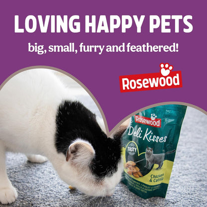 Rosewood 100% Salmon Freeze Dried Fillet Bites Cat Treats 50g