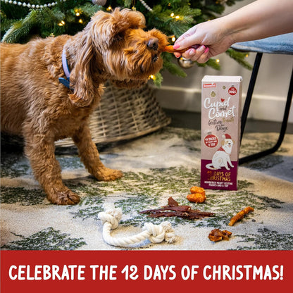 Rosewood 12 Days Of Christmas For Dogs