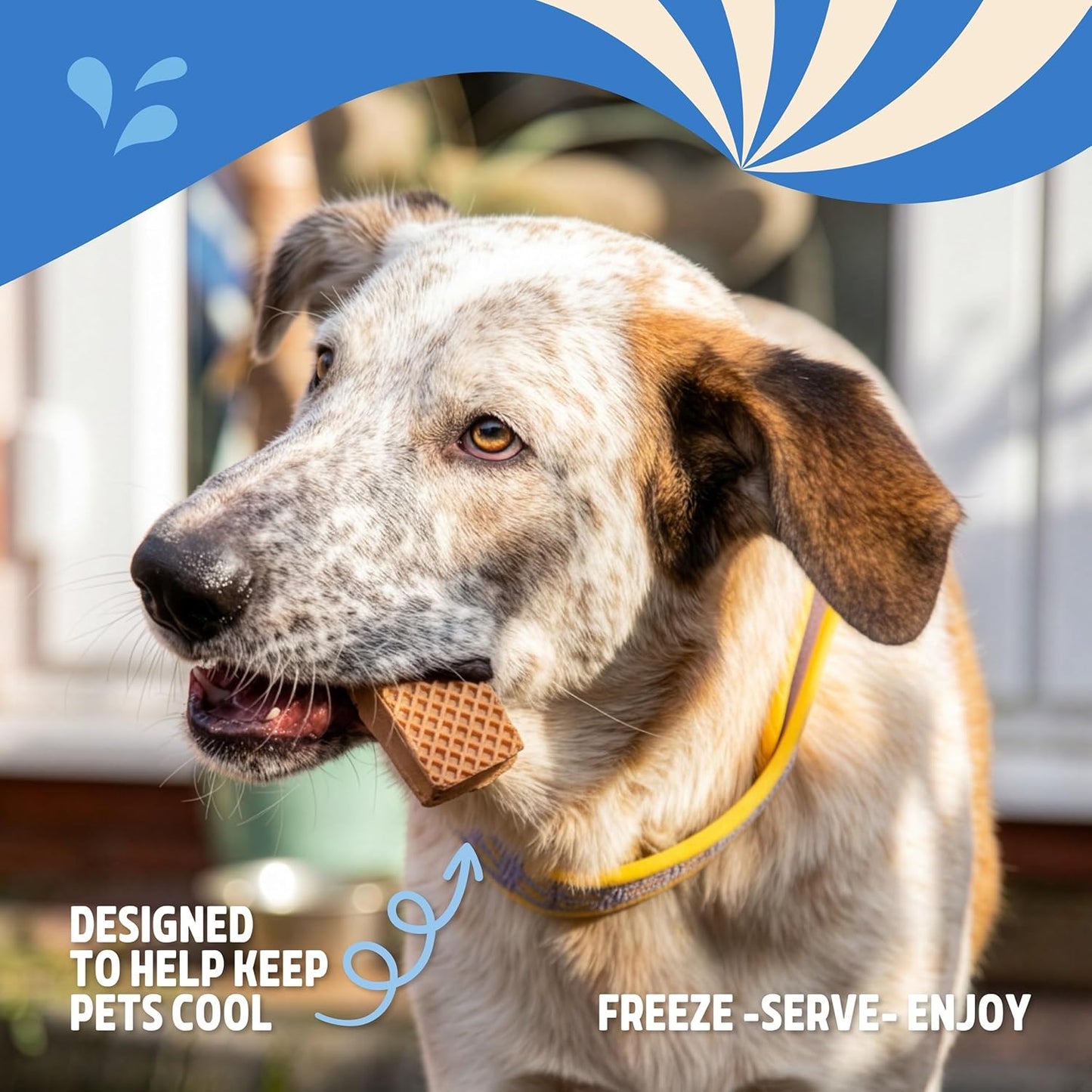 Rosewood Summer Ice Cream Sandwiches Dog Treats 3pck