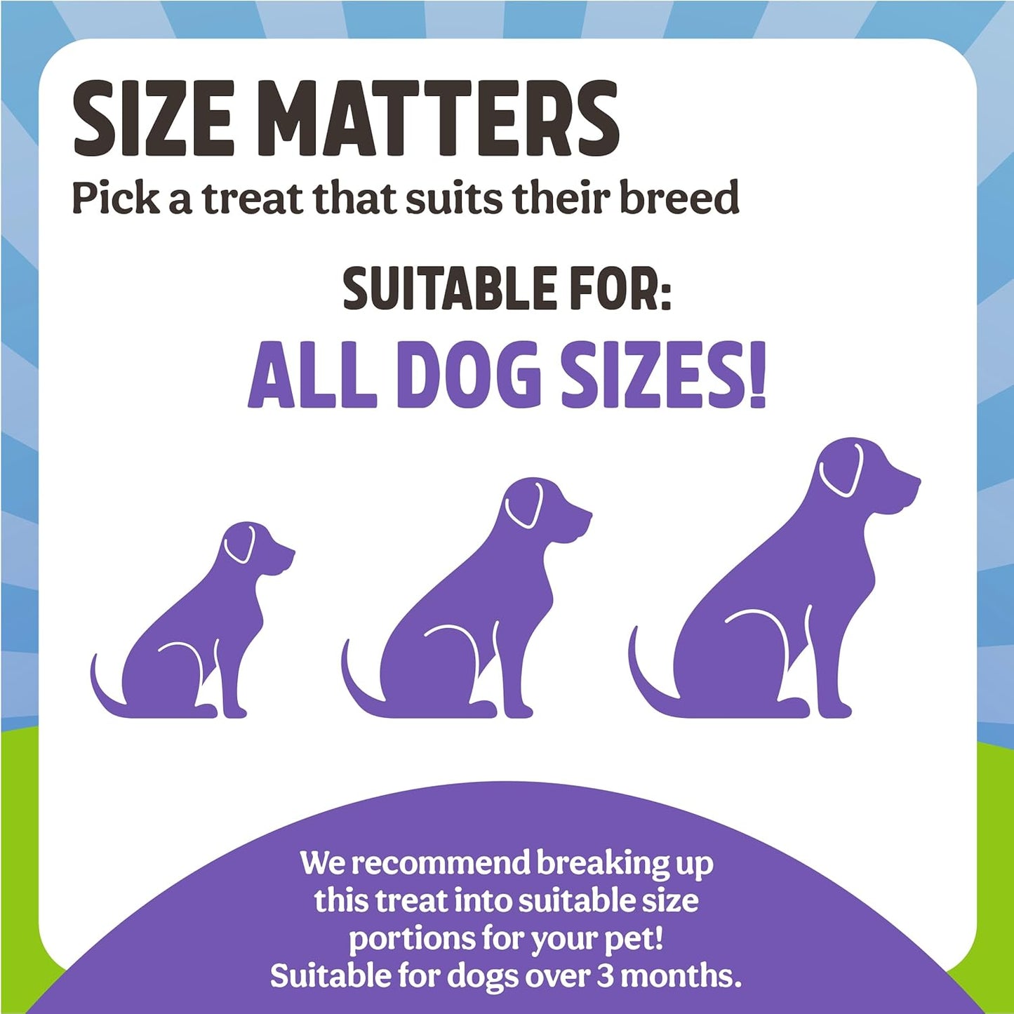 Rosewood Easter Egg Box For Dogs 4pcs x 20g