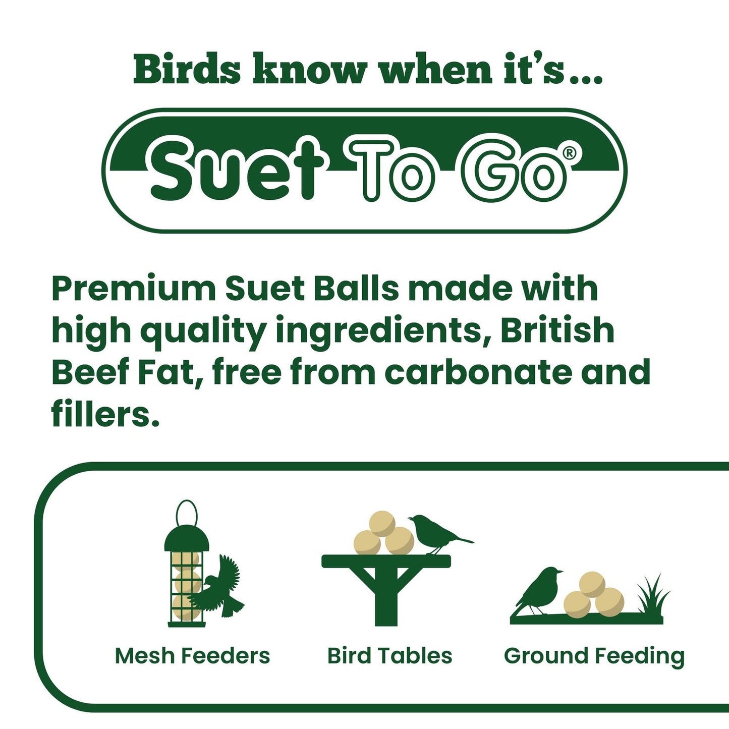 Suet To Go Premium Suet Balls  Insect Flavour Wild Bird Food 12 x 85g