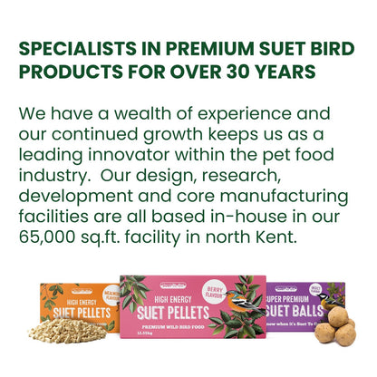 Suet To Go Premium Suet Balls  Insect Flavour Wild Bird Food 12 x 85g