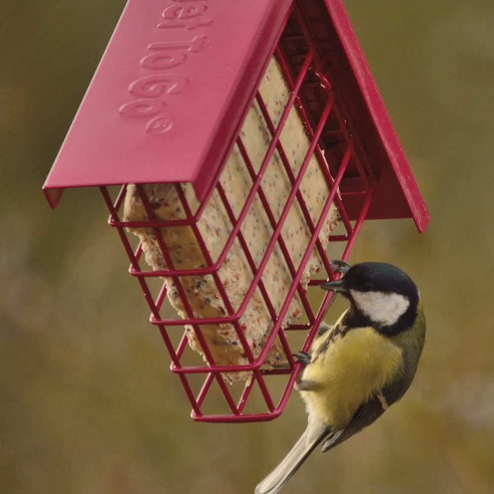 Suet To Go Berry & Bugs 10 Pack