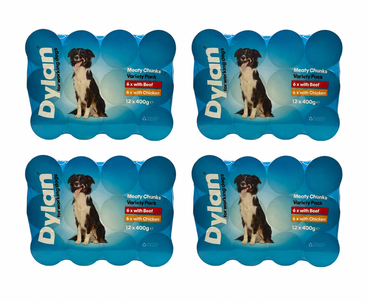 Dylan Mixed Variety Meaty Chunks Wet Dog Food 12 Tins