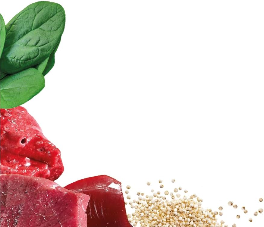 Natures Menu Superfood Bars Beef 70g