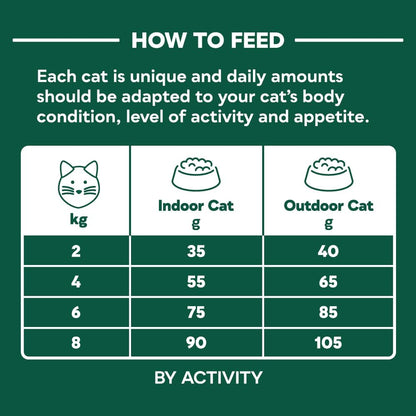 Natures Menu Cat Complete Food High Meat No Grain Salmon 3kg