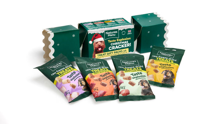 Natures Menu Christmas Cracker 4x15g Bites