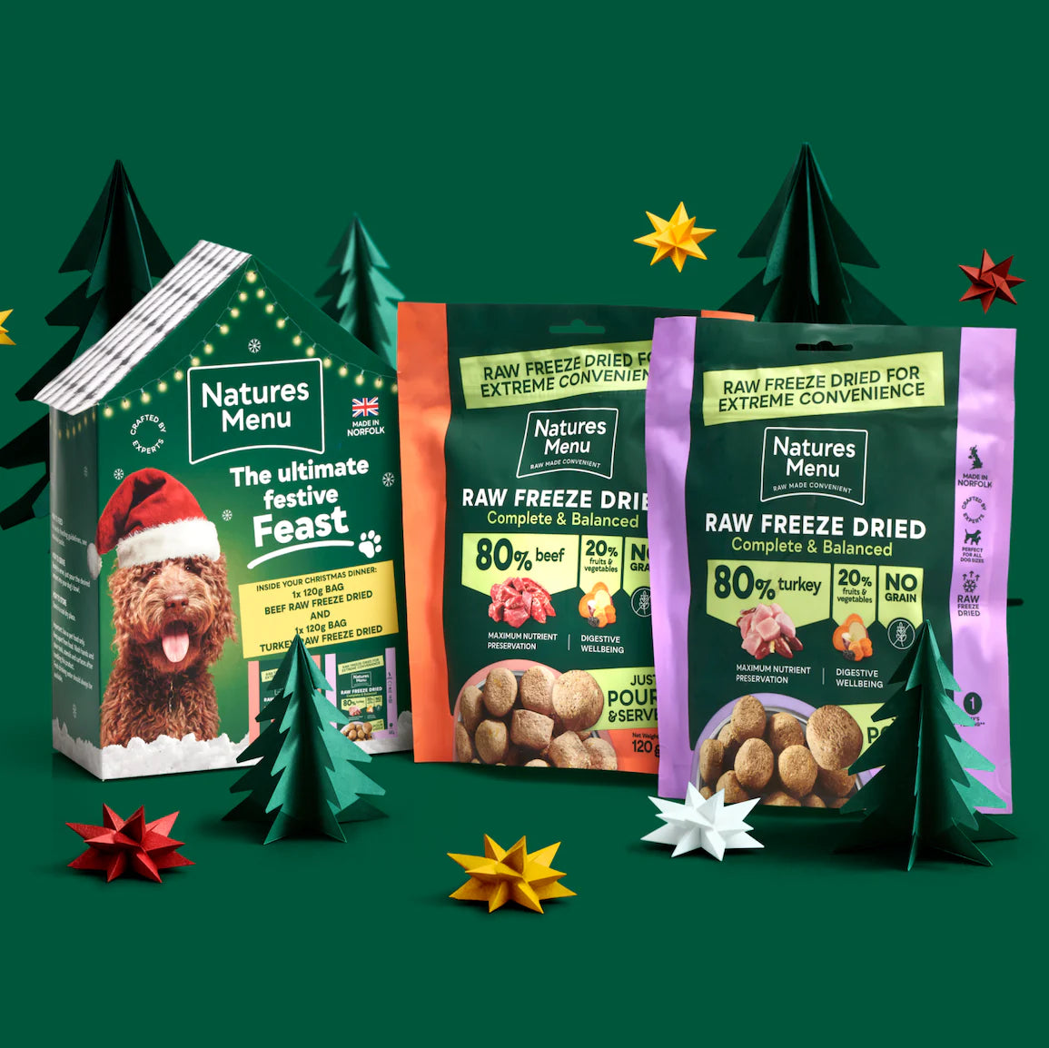 Natures Menu Christmas House 2 x 120g Meals