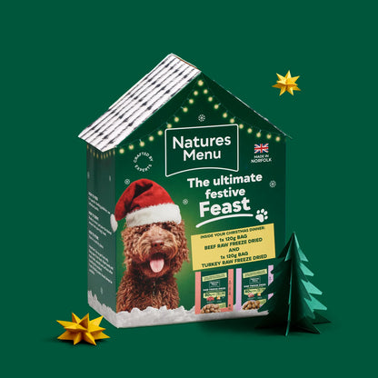 Natures Menu Christmas House 2 x 120g Meals