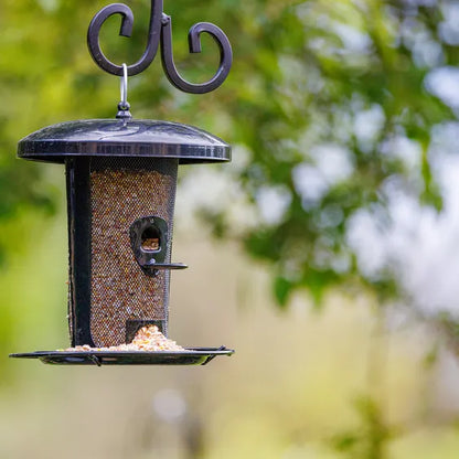 Henry Bell Black Heavy Duty Dual Seed & Sunflower Heart Feeder