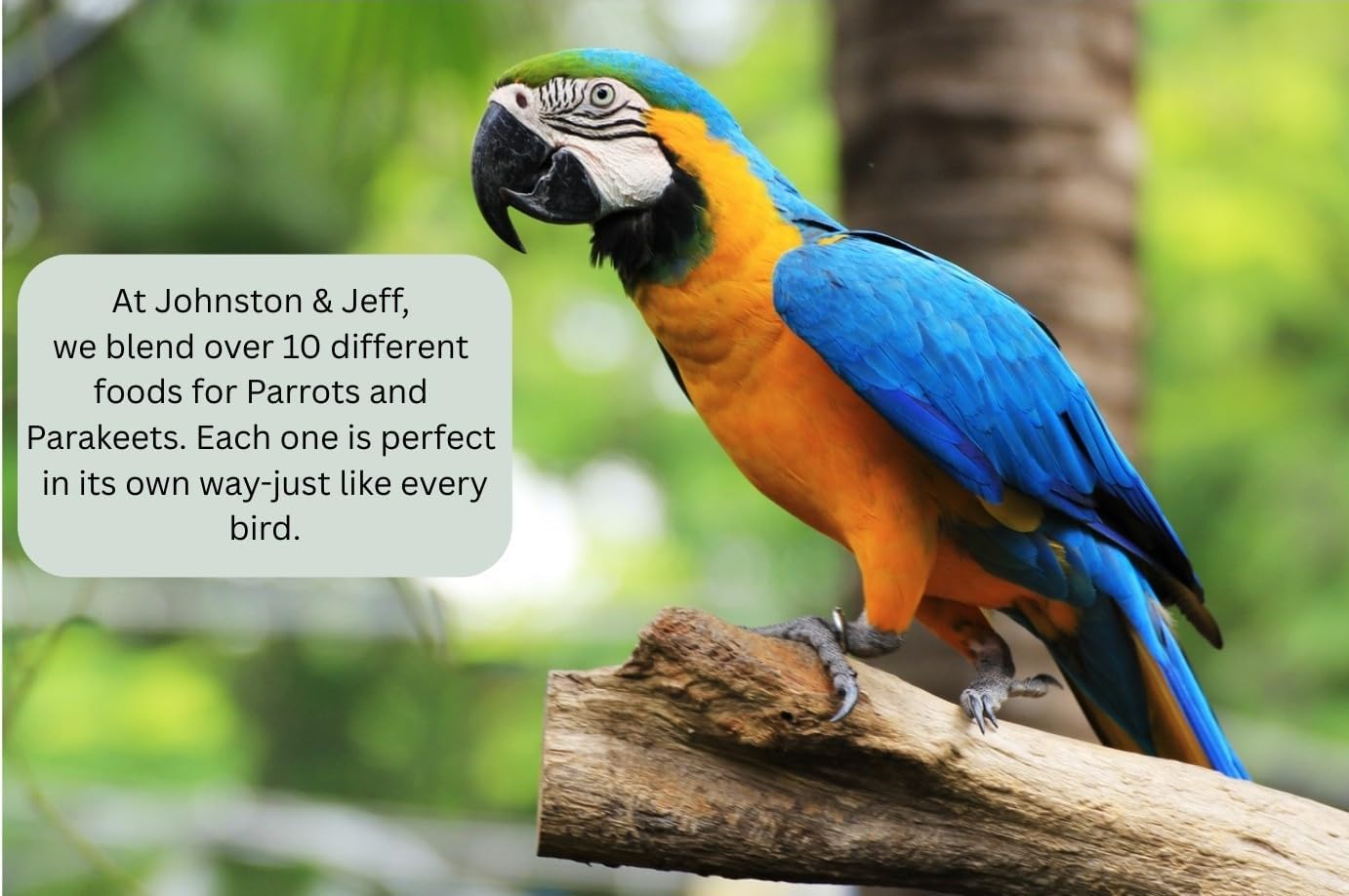 Johnston & Jeff Fruit Nut & Veg Mix 700g