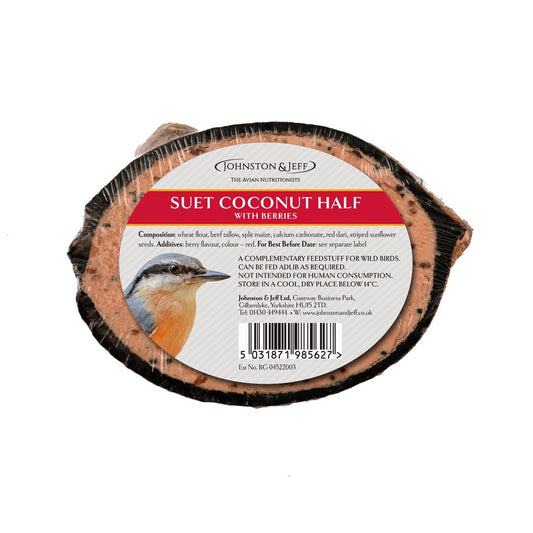 Suet Feast Coconut Feeder with Berries