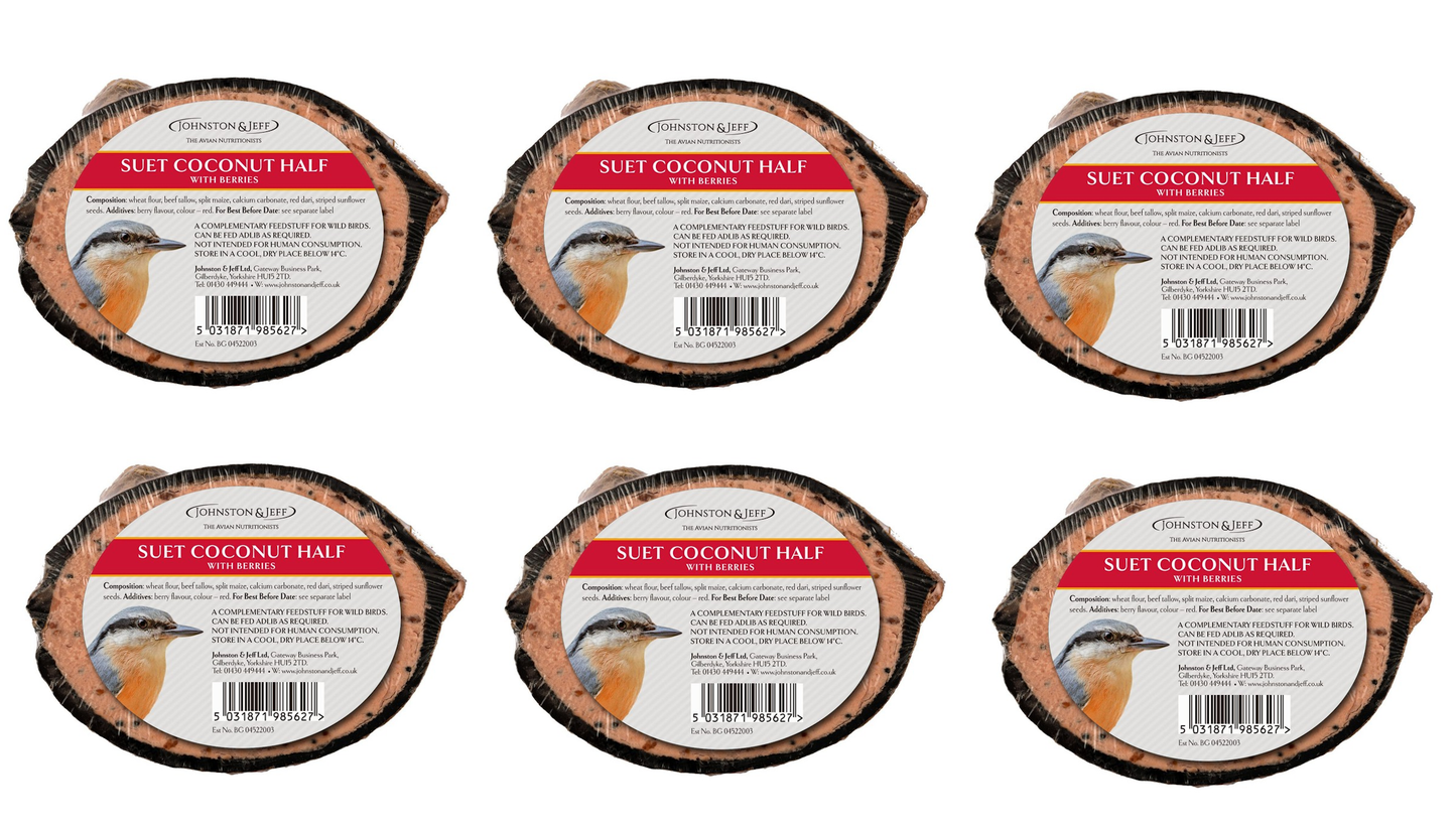 Suet Feast Coconut Feeder with Berries