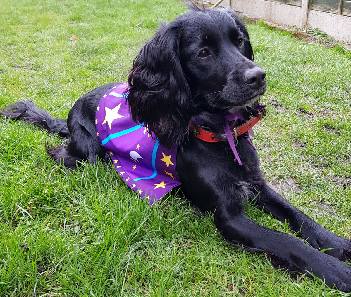 Dog Life Magician Cape & Wand Dog Costume M/L