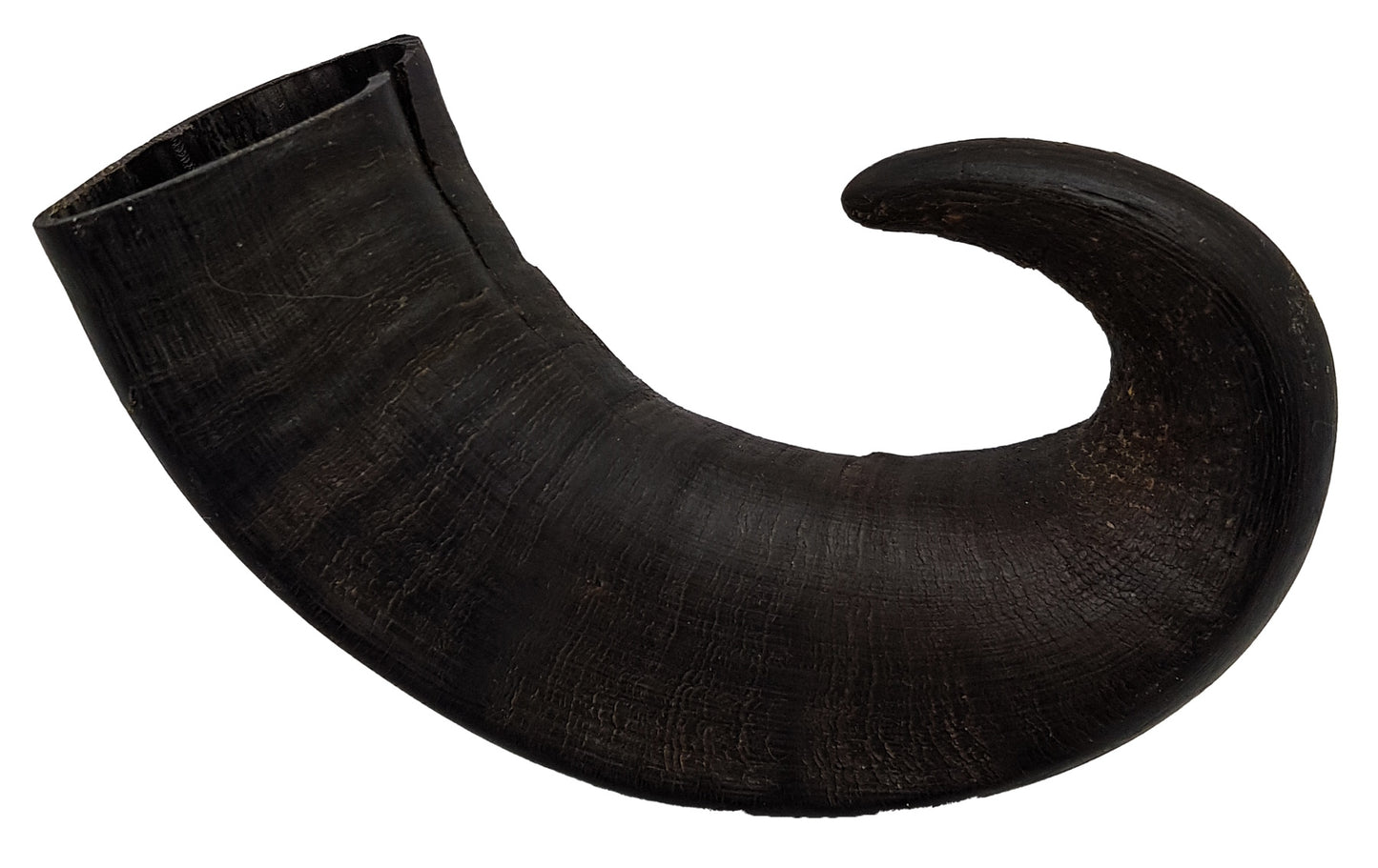 Wild Bites Natural Buffalo Horn Medium Dog Chew Treat 251-450g