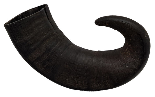 Wild Bites Natural Buffalo Horn Medium Dog Chew Treat 251-450g