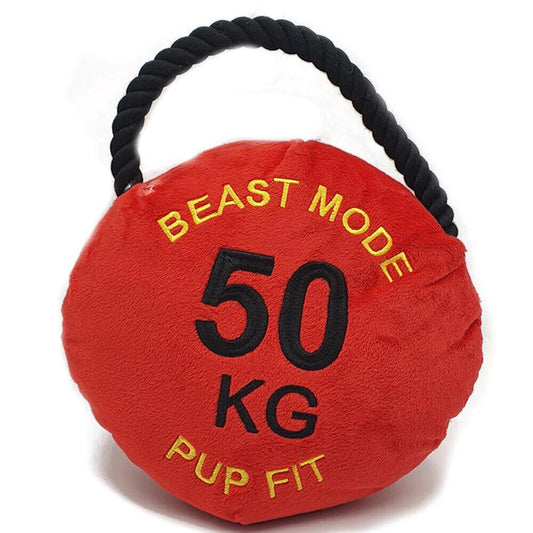 Dog Life PupFit Kettlebell Large 50kg