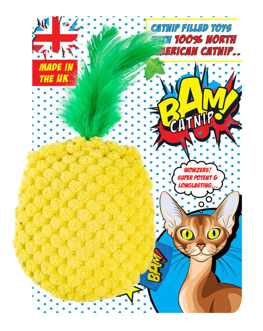 BAM! Catnip Pineapple