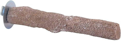 Beaks Perch Of Sea Shells Large Wood Style
