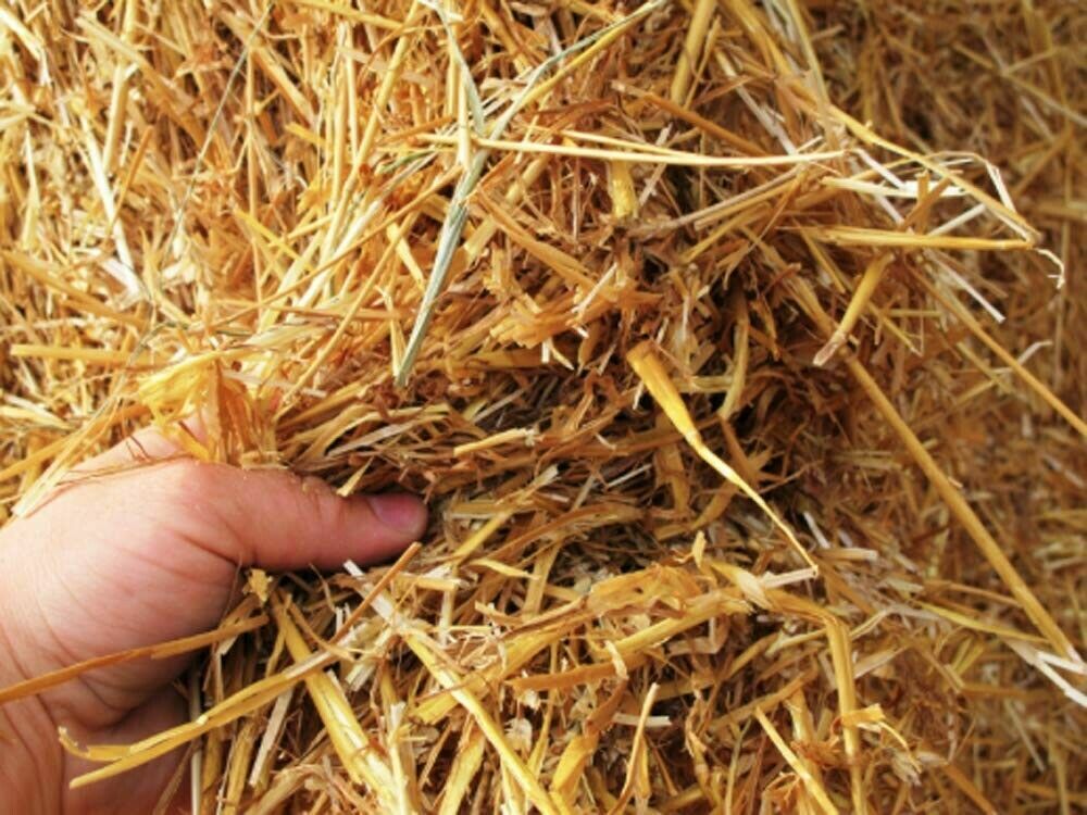 Pillow Wad Large Bio Barley Straw 2Kg