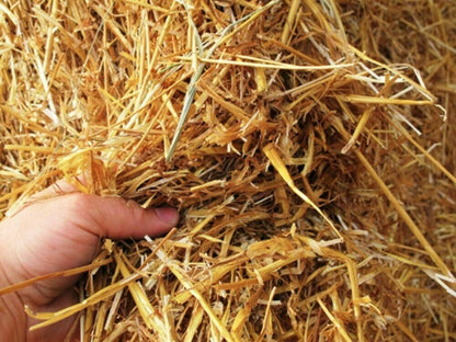 Pillow Wad Large Bio Barley Straw 2Kg