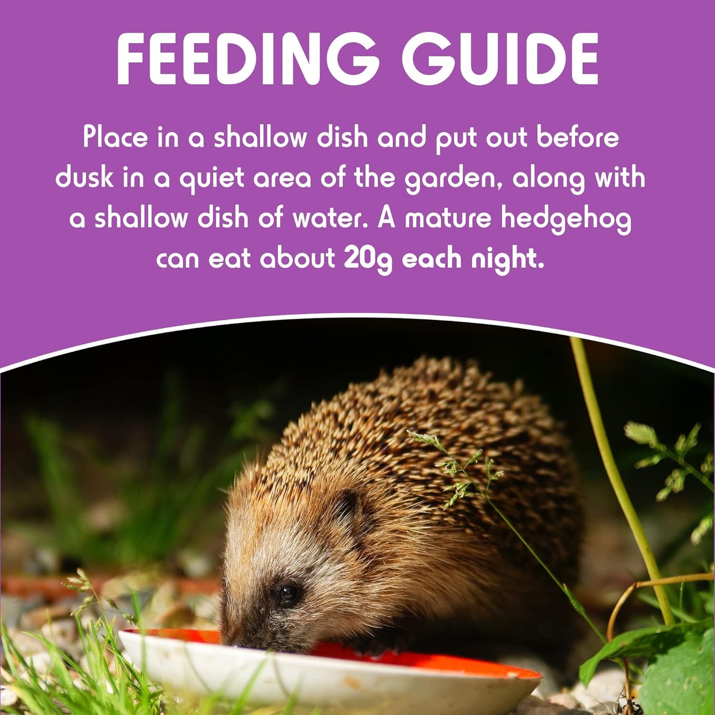 Spikes Dinner Crunchy Dry Hedgehog Food 650g