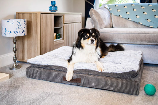 Zoon Komfort Kord Memory Foam Dog Mattress Medium 107 x 70 x 12cm