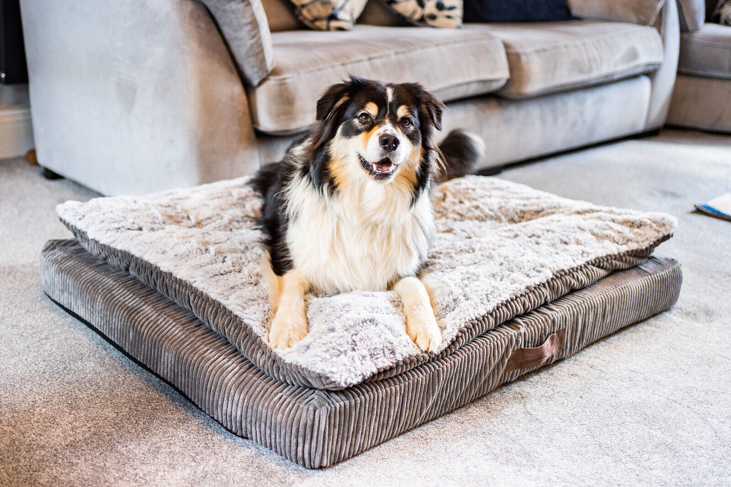 Zoon Komfort Kord Memory Foam Dog Mattress Large 120 x 90 x 15cm