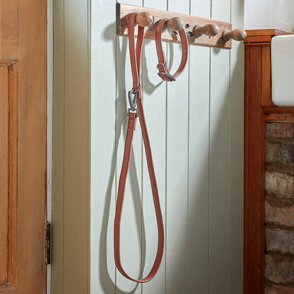 Zoon Luxe Leather Tan Dog Lead 120 x 2cm