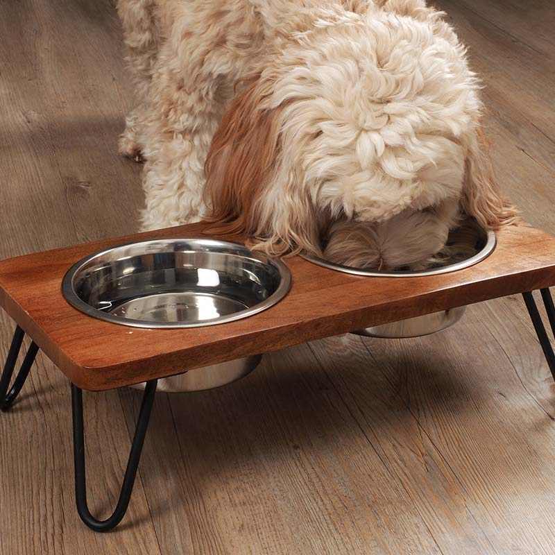 Zoon Double Diner Pet Food & Water Dish Station