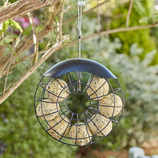 Zoon Ring Suet Ball Feeder