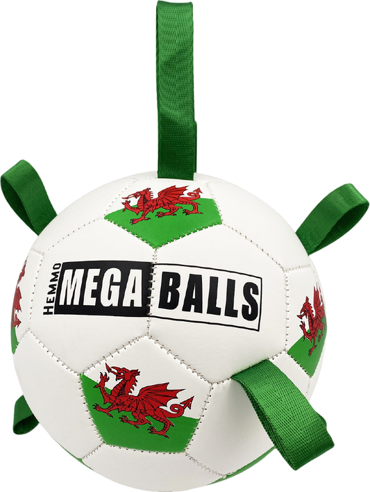 Hem & Boo Pick Me Up Football Welsh