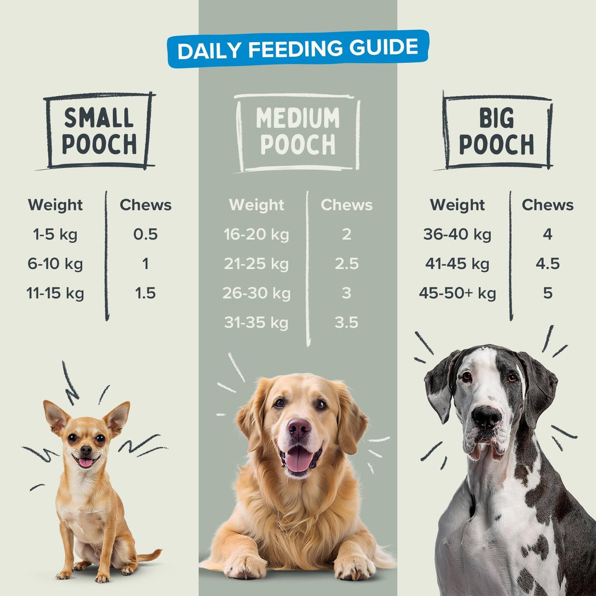 Pawstrong Skin & Coat Supplement For Dogs 180g
