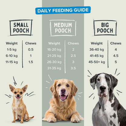 Pawstrong Skin & Coat Supplement For Dogs 180g