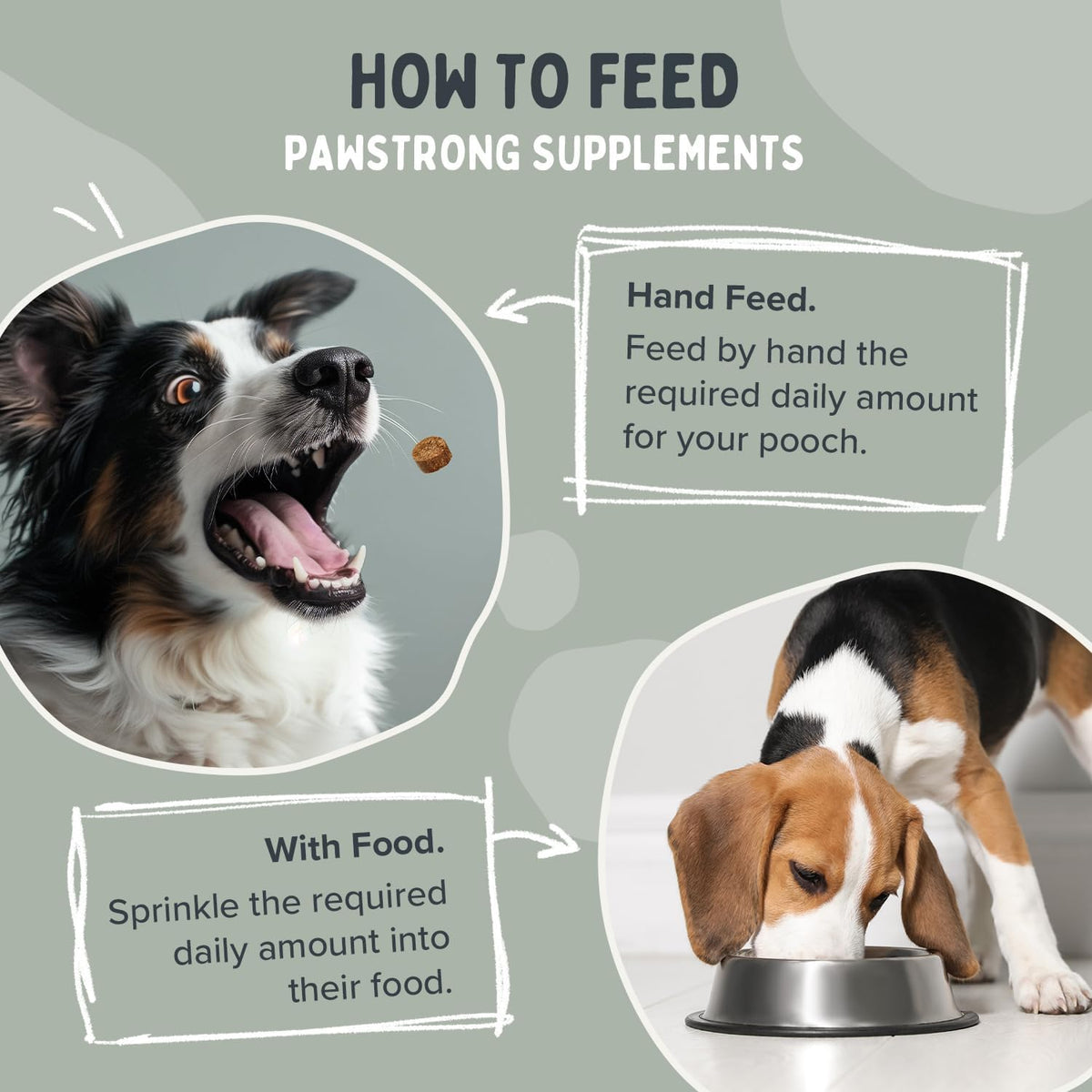 Pawstrong Skin & Coat Supplement For Dogs 180g