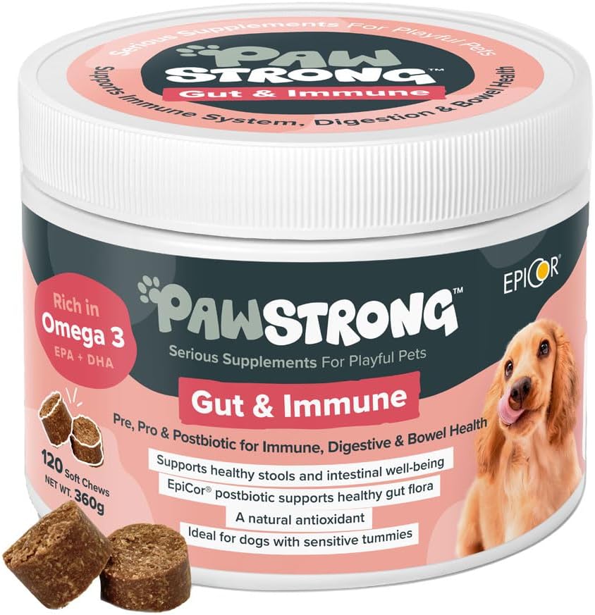 Pawstrong Gut & Immune Supplement For Dogs 360g