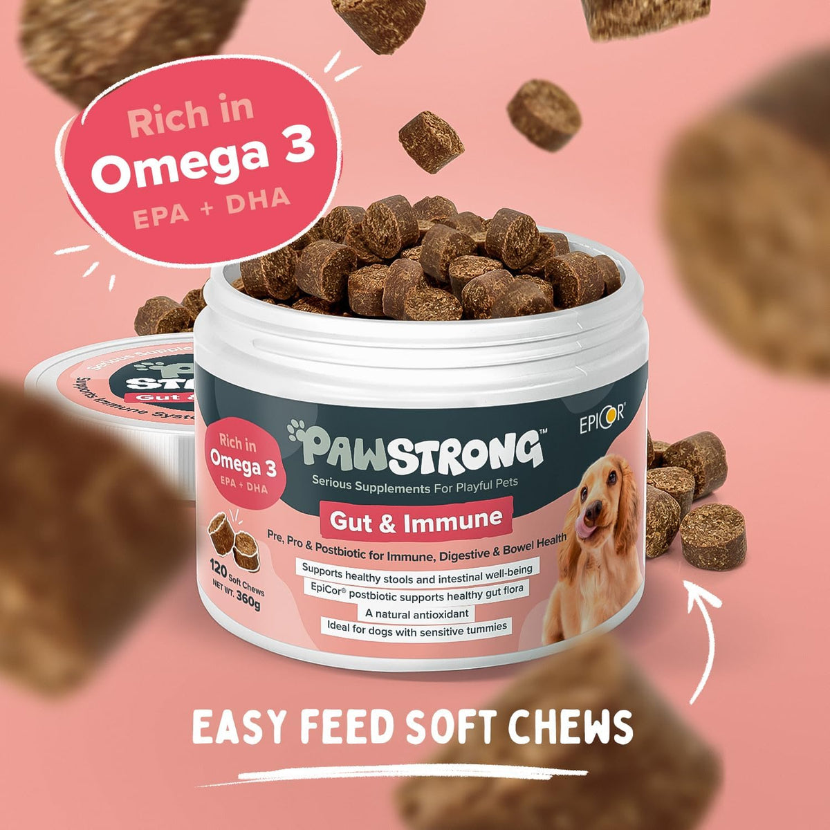 Pawstrong Gut & Immune Supplement For Dogs 360g