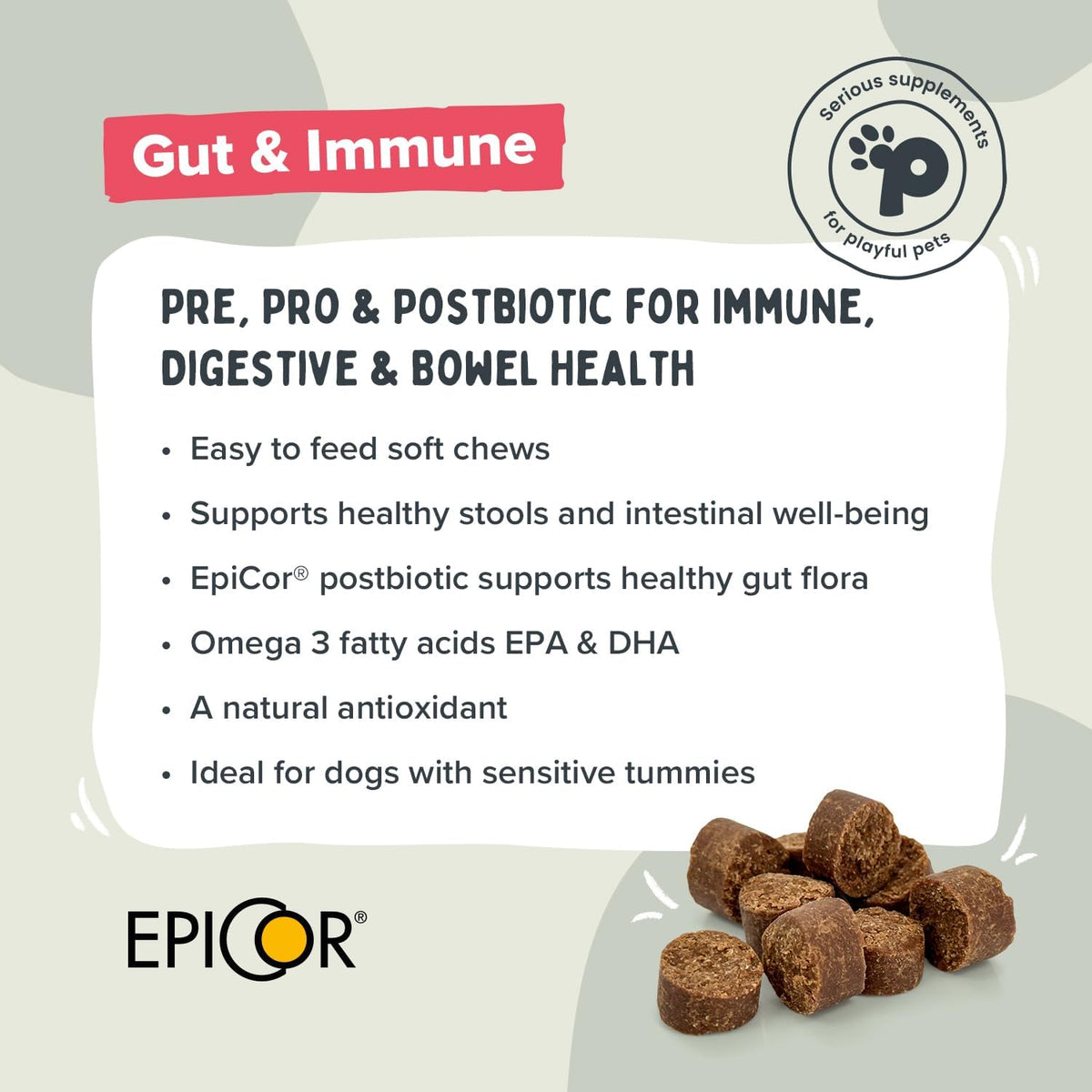Pawstrong Gut & Immune Supplement For Dogs 360g