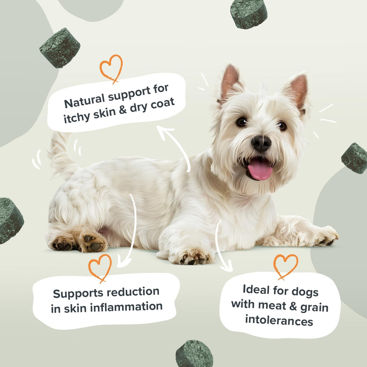 Pawstrong Skin & Coat Supplement For Dogs 360g