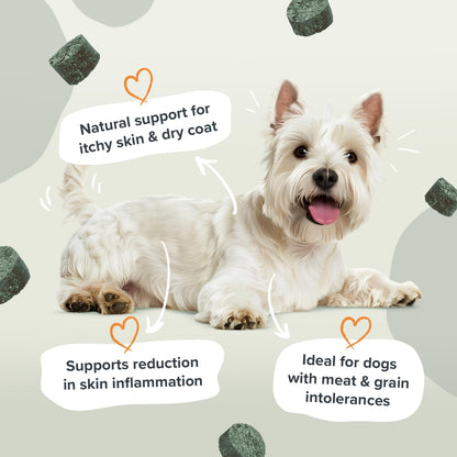 Pawstrong Skin & Coat Supplement For Dogs 360g