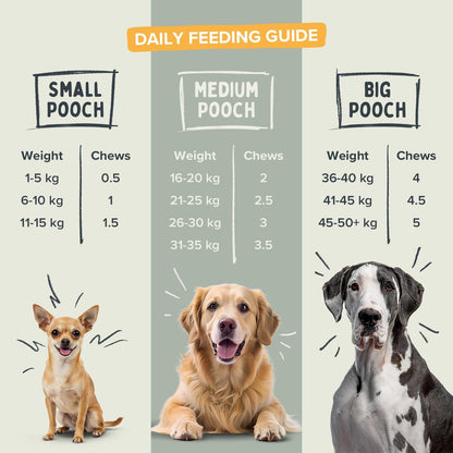 Pawstrong Senior Support Supplement For Dogs 360g