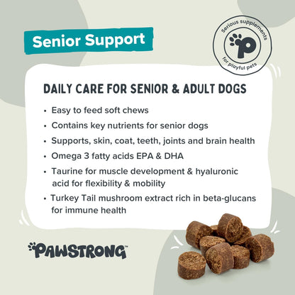 Pawstrong Senior Support Supplement For Dogs 360g
