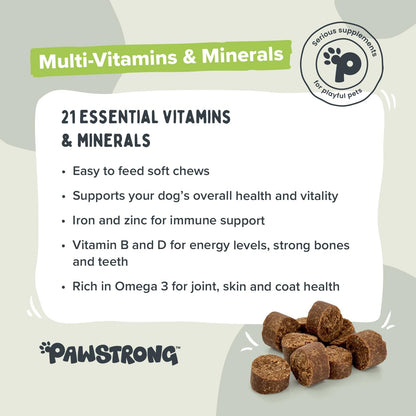 Pawstrong Multi Vitamins & Minerals Supplement For Dogs 360g