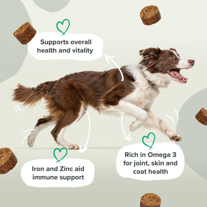 Pawstrong Multi Vitamins & Minerals Supplement For Dogs 360g