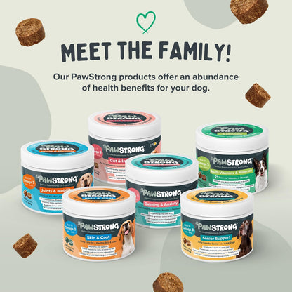 Pawstrong Multi Vitamins & Minerals Supplement For Dogs 360g