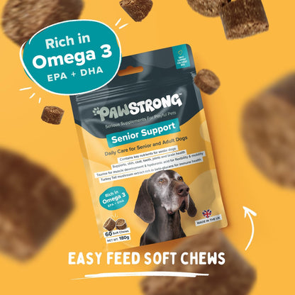 Pawstrong Senior Support Supplement For Dogs 180g