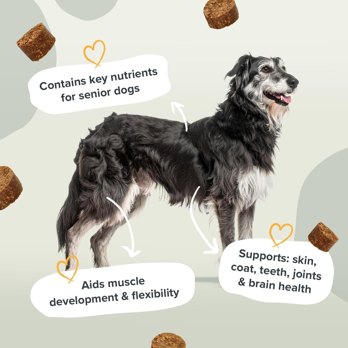 Pawstrong Senior Support Supplement For Dogs 180g