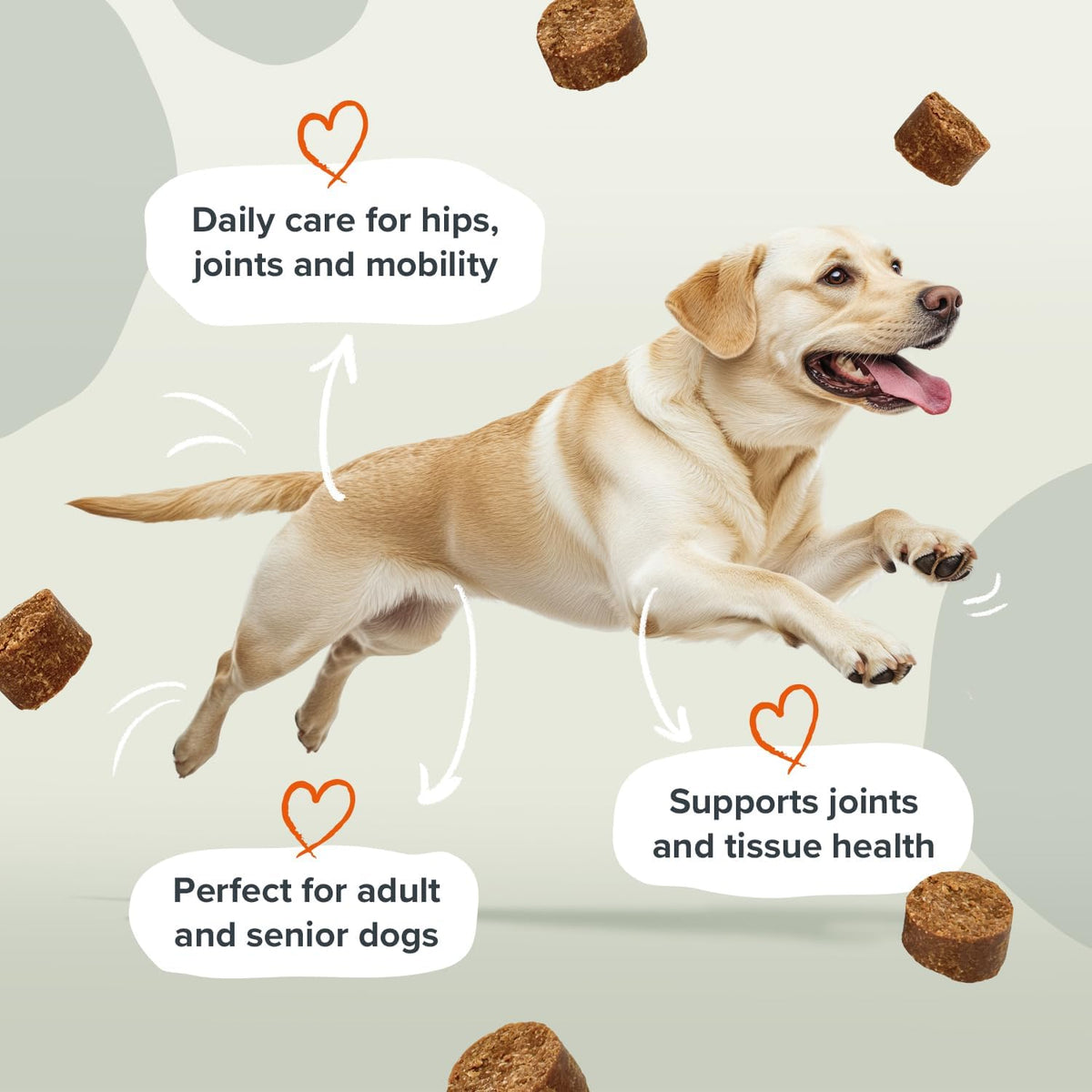 Pawstrong Joints & Mobility Supplement For Dogs 360g