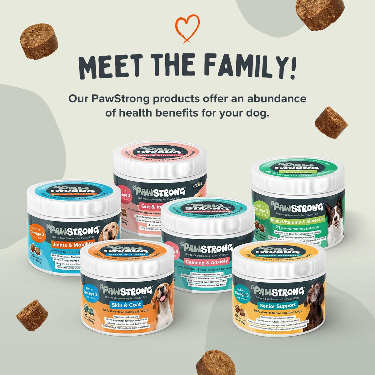 Pawstrong Joints & Mobility Supplement For Dogs 360g