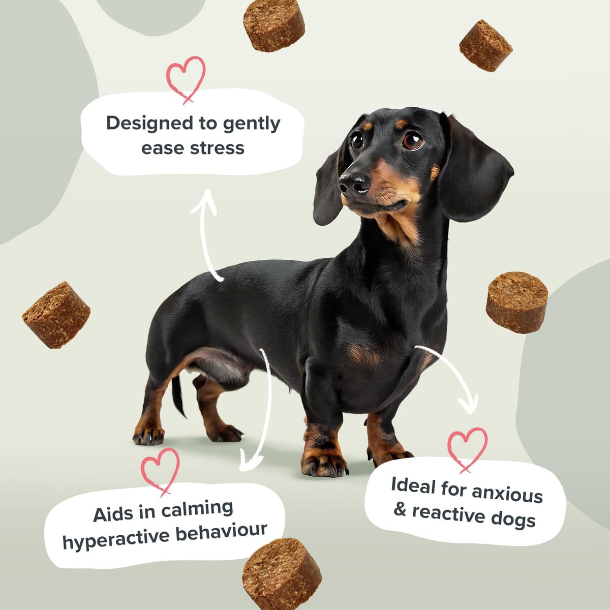 Pawstrong Calming & Anxiety Supplement For Dogs 360g